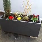 Rural 
