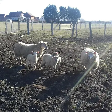 Rural 