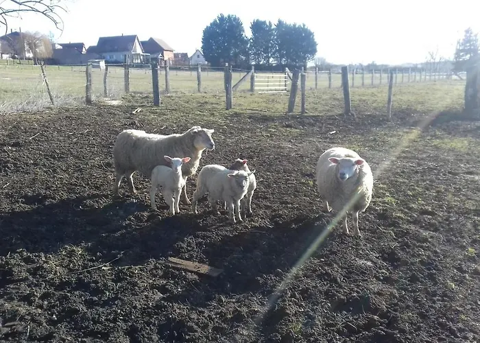 Rural 